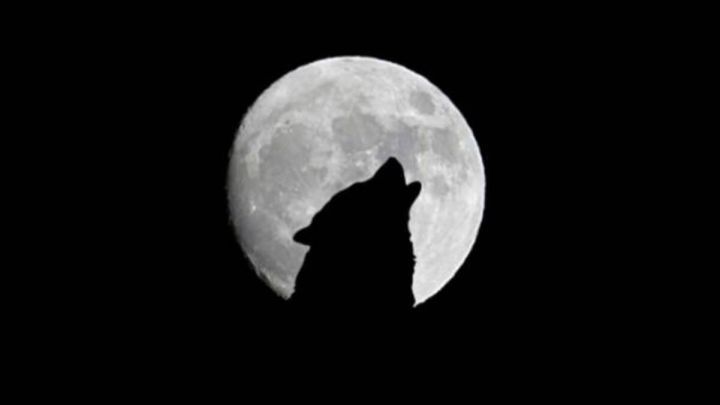 Luna Llena del Lobo: horarios, cuándo es y cómo ver la luna llena del 28 de enero