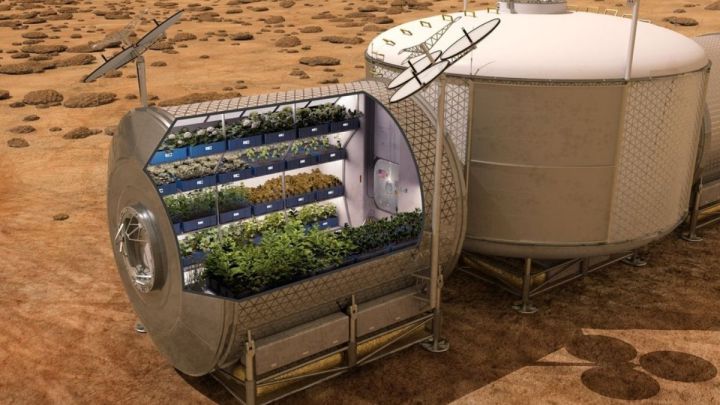 NASA cultivo lechuga patatas concurso espacio