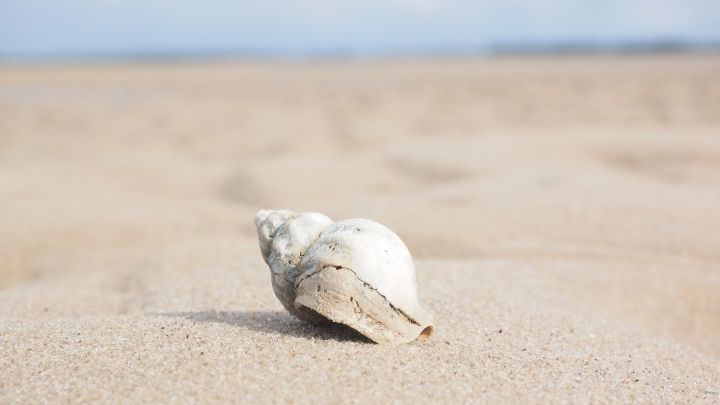 Un instrumento de hace 18.000 años es tocado por primera vez