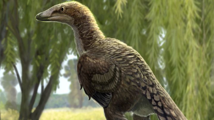 Encontrado en España un dinosaurio de hace 66 millones de años