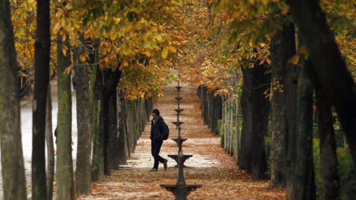 Cómo será la circunvalación verde de Madrid: los proyectos ganadores