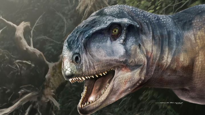 Descubren el cráneo del dinosaurio "que causa miedo"
