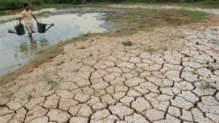 Los preocupantes vaticinios para los próximos años del organismo que predijo la pandemia