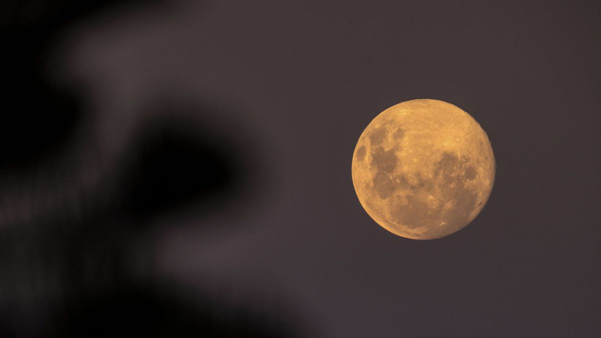 Superluna: qué es, qué tiene que ver el perigeo y en qué se diferencia de  la luna llena - AS.com
