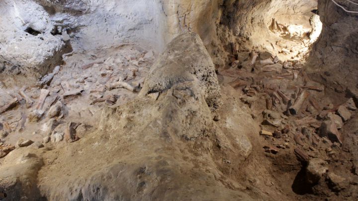 Encuentran restos de homínidos de 100.000 años de antigüedad