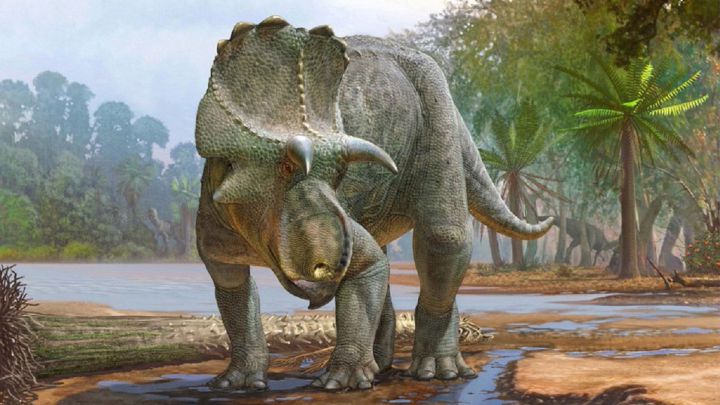 Menefeeceratops Sealeyi: el dinosaurio de hace 82 millones de años pariente del Triceratops