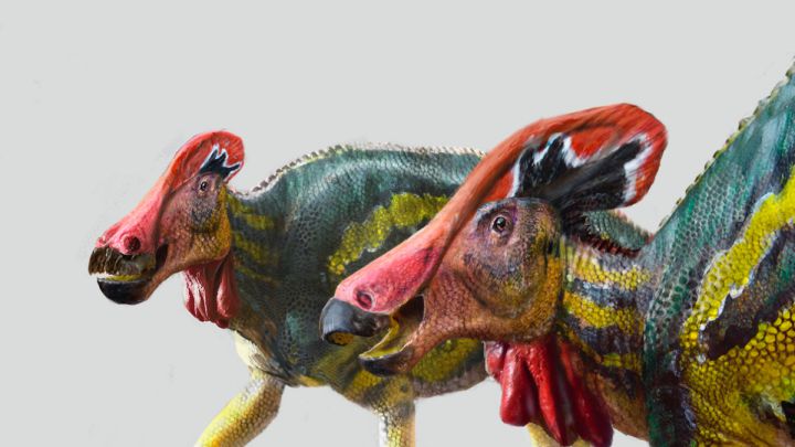 Descubren un nuevo tipo de dinosaurio en México