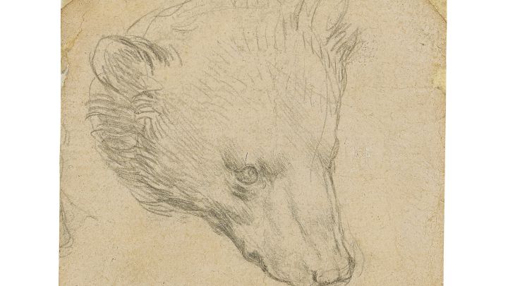 A subasta un dibujo único de Leonardo da Vinci: puede costar más de 10 millones de euros
