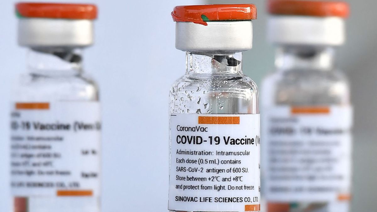 Vacuna Sinovac en Ecuador: efectividad, precios, dosis y posibles efectos  secundarios - AS.com