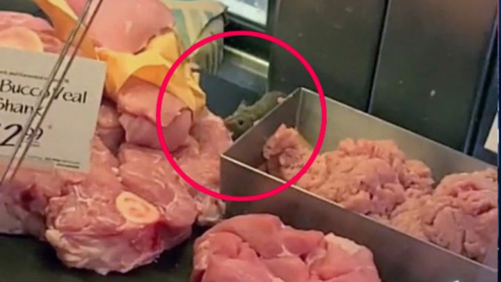 Vídeo viral TikTok ratón supermercado carne Whole Foods