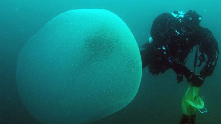 Descubren misteriosas esferas gelatinosas en el agua de Mallorca