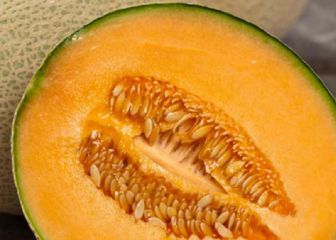¡Cuidado! Melones con salmonella
