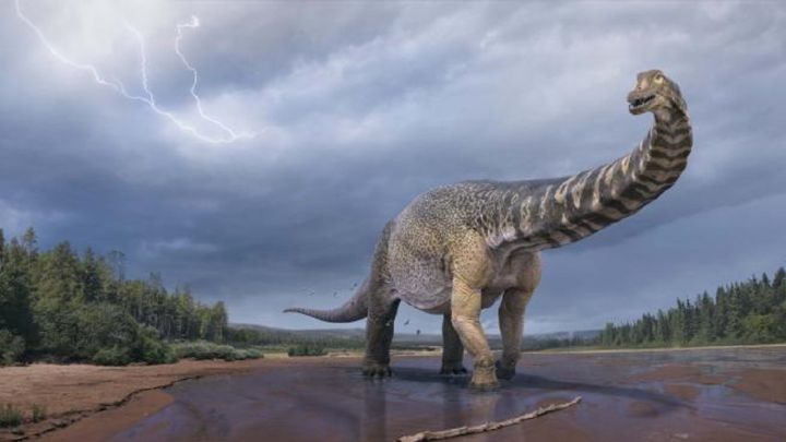 El Australotitan, dinosaurio más grande de Australia: 25 metros de largo