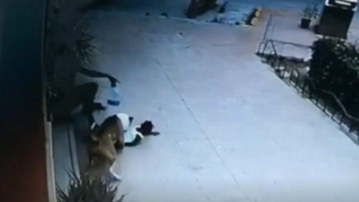 Una veterinaria salva la vida a una menor de dos años atacada por un perro en Murcia