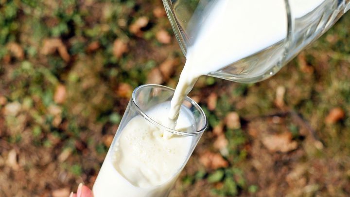 La OCU desvela la mejor leche semidesnatada del mercado
