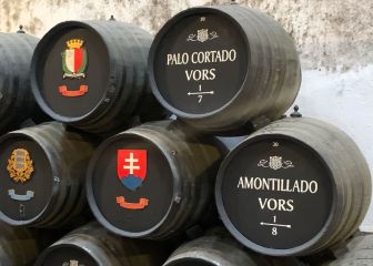 Un vino español, considerado de los 10 mejores del mundo