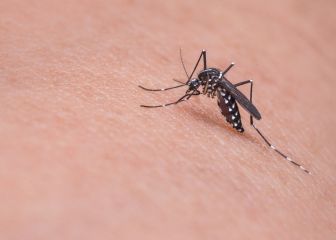 Las razones por las que los mosquitos pican más a algunas personas