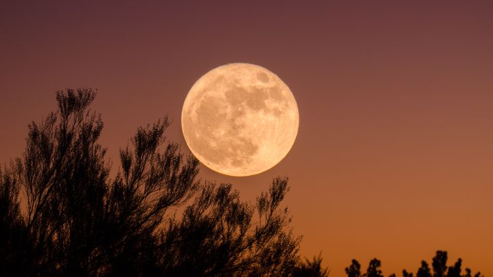 Calendario lunar de agosto 2021: ¿cuáles son las fases de la luna y cuándo habrá luna llena este mes?