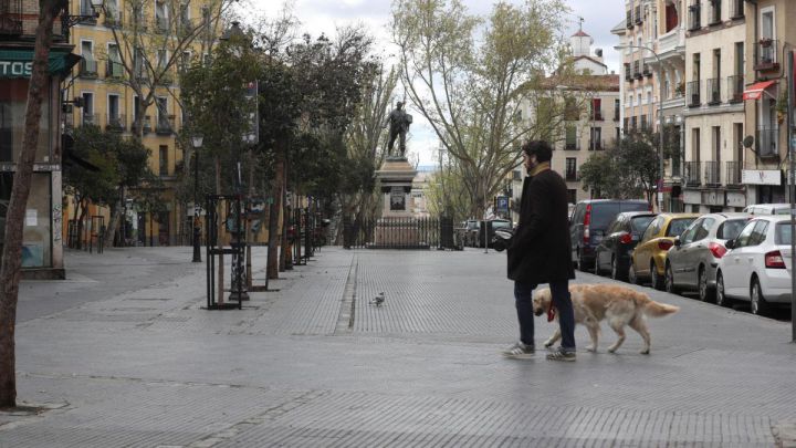 ¿A qué horas y en qué lugares se puede sacar al perro sin correa en Madrid?