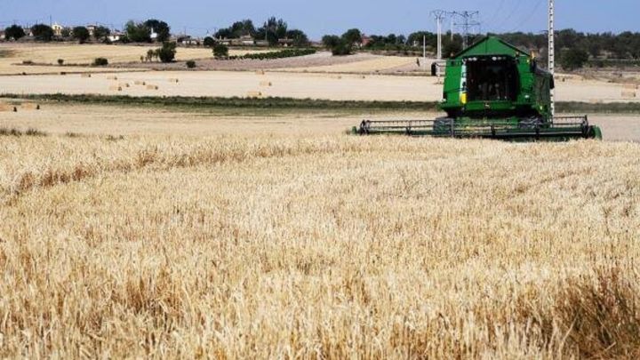 Estados Unidos dispara el precio del cereal en la Lonja de Salamanca