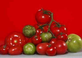 ¿Por qué el tomate es una fruta y no es una hortaliza o verdura?