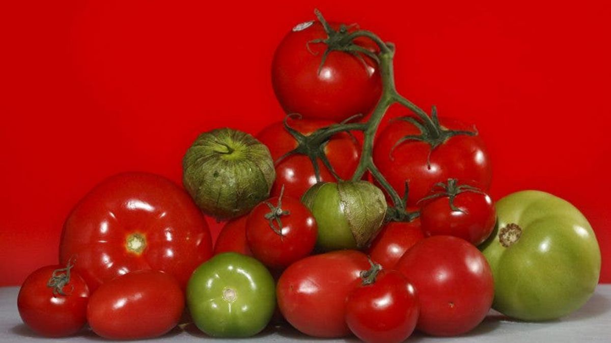 ¿Por qué los tomates son vegetales y no frutas?