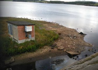 Aparecen cientos de aves muertas en Galicia