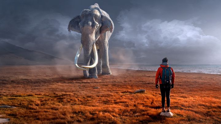 Un grupo de científicos se propone ‘resucitar’ al mamut