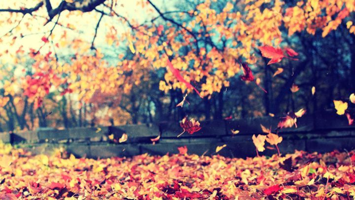 22 de septiembre: ¿a qué hora empieza el otoño, cuándo entra y cuánto duran los días?