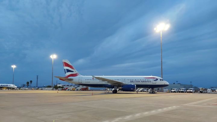 Una tortuga paraliza el aeropuerto de Tokio