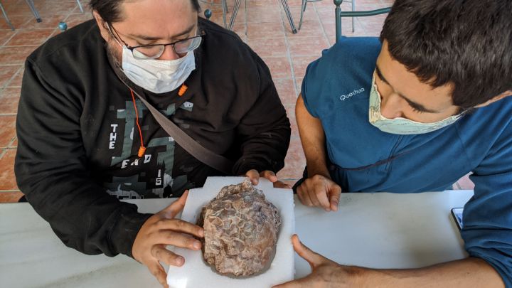 Encuentran un nido de huevos de dinosaurio en Huesca 