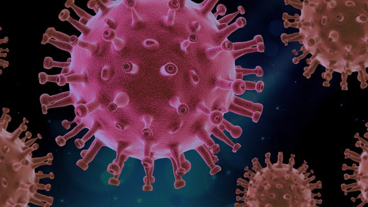 Revelan el gen clave que duplica el riesgo de morir por coronavirus