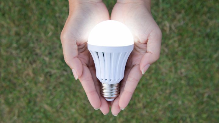 Las bombillas LED más eficientes - AS.com