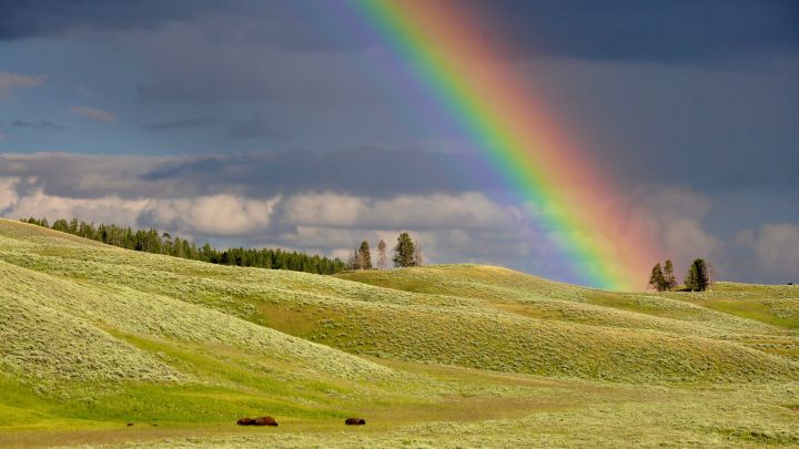 ¿Por qué el arcoiris tiene siete colores, cuáles son, cómo se forma y cuándo aparece en el cielo?