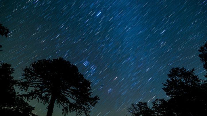 Leónidas 2021: fechas, horarios, cómo ver y cuándo es la lluvia de estrellas de noviembre