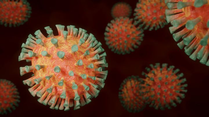 Un chicle para ‘engañar’ al coronavirus