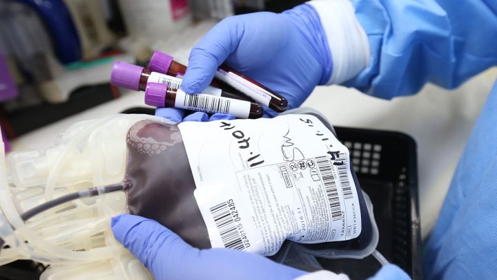 Hasta qué edad se puede donar sangre: requisitos, riesgos y cuántas veces se puede donar al año.