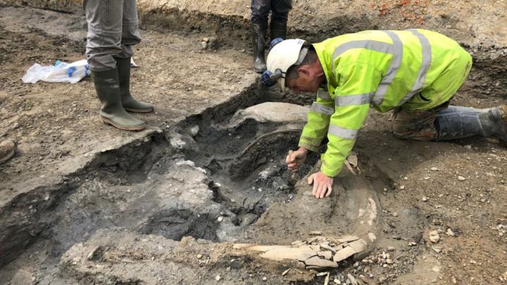Descubren los restos de al menos 5 mamuts de la Edad de Hielo