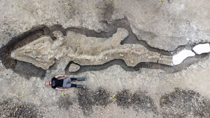 Hallan el fósil de un dragón marino de 10 metros en Inglaterra
