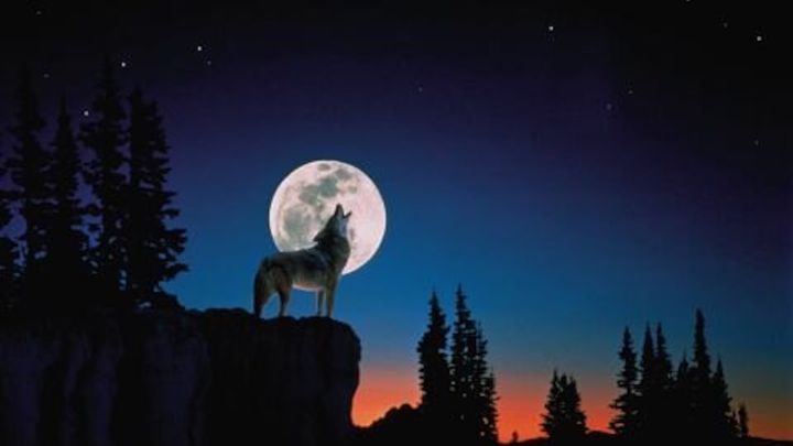 Luna del Lobo 2022: a qué hora es, cuál es su significado y cómo ver la luna  llena de enero 
