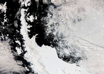 Una plataforma de hielo se desprende en la Antártida