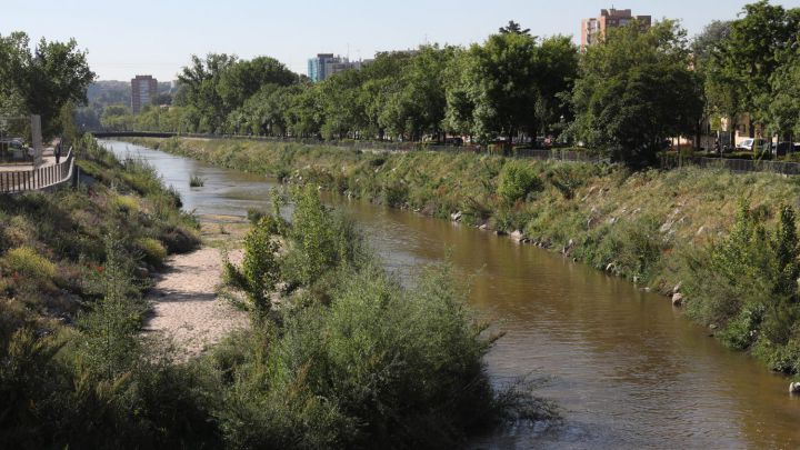 El Manzanares es el río más contaminado por fármacos de Europa