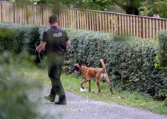 Declaraciones reveladoras sobre el caso Madeleine McCann