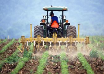Renta Agraria del SEPE: cuánto se cobra y quiénes la pueden solicitar