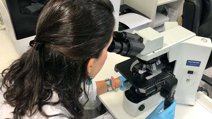 Importante descubrimiento sobre el origen del lupus