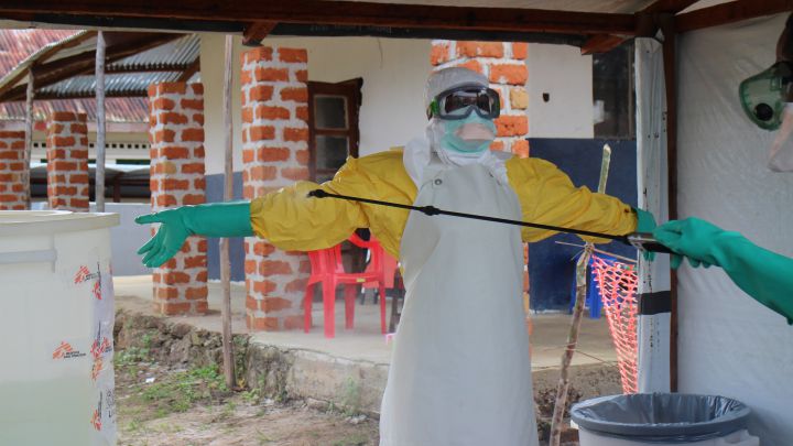 Aíslan a un virus pariente del Ébola hallado en Asturias