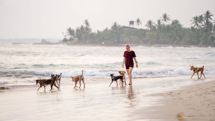 playas para perros en España 2022: cuáles y dónde están AS.com