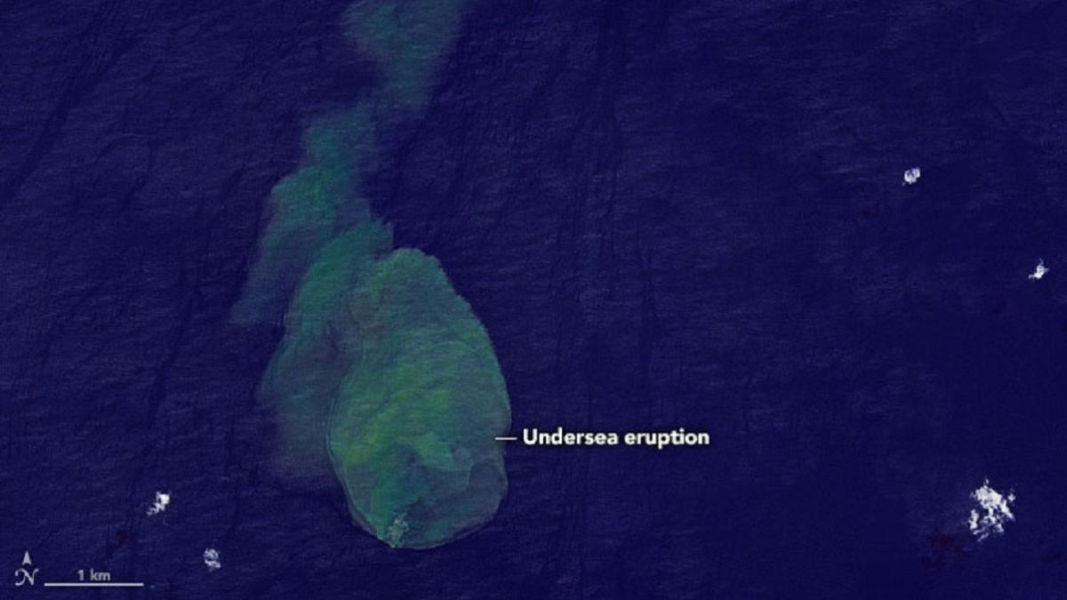 Qué es 'Sharkcano'? La NASA capta la erupción del volcán submarino donde  viven tiburones - AS.com