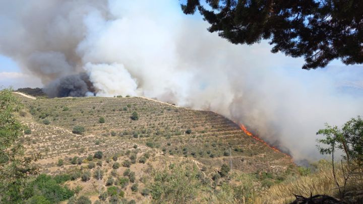 Incendio forestal en Granada, cerca del Sacromonte y el Albaicín
