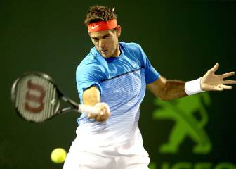 Del Potro sets up Federer clash at Miami Open